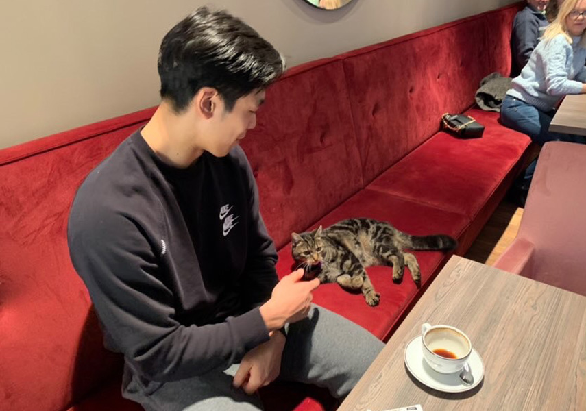 日本では、人に懐きにくいと言われている猫が、初対面の外国人にこんなに懐くなんて、本当に珍しいのでは？